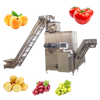 Steam Peeling Machine