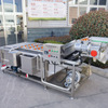 Fruit & Vegetable Washing Machine