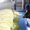 Frozen French Fries Production Line