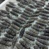 Spiral Freezer(IQF)
