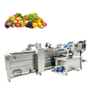 Fruit & Vegetable Washing Machine