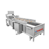 Fully Automatic Fruit And Vegetable Cleaning Machine