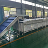 Pasteurization