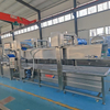 Vegetable Washing Processing Line