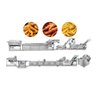 Fried Production Line