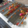 Fruit & Vegetable Washing Machine