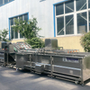 Vegetable Washing Processing Line