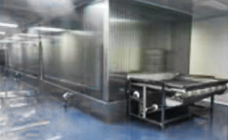 Fried Pork Cutlet Deep-Frying and Freezing Machine