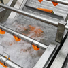 Fruit & Vegetable Washing Machine