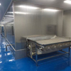 Tunnel Freezer