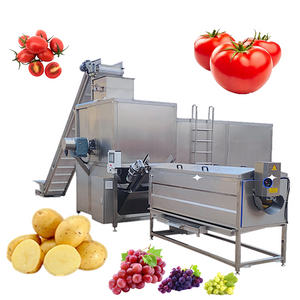 Steam Peeling Machine